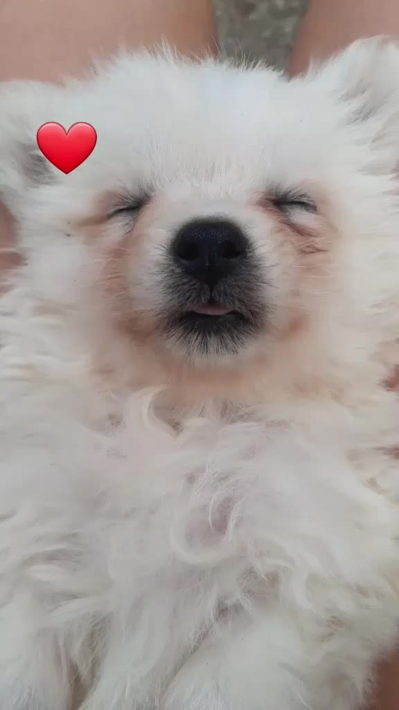 @𝗠𝗮𝗿𝗶𝗮❤︎
