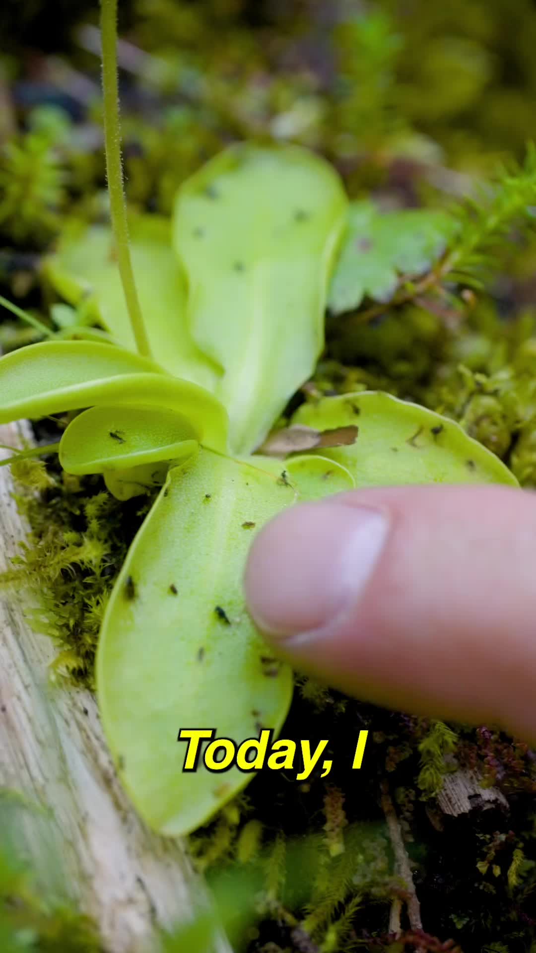 @Chris's Science Videos