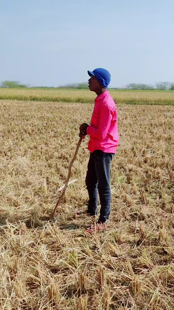 @user3085810934873