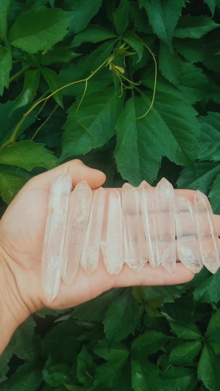 @vitreousvitamins