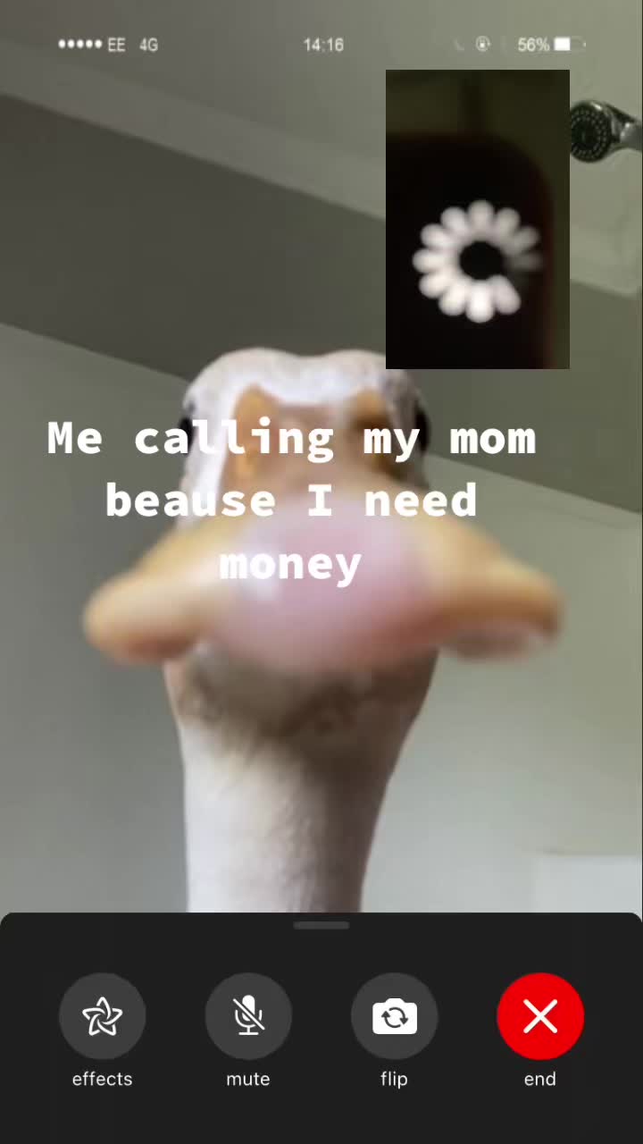 @Rspro