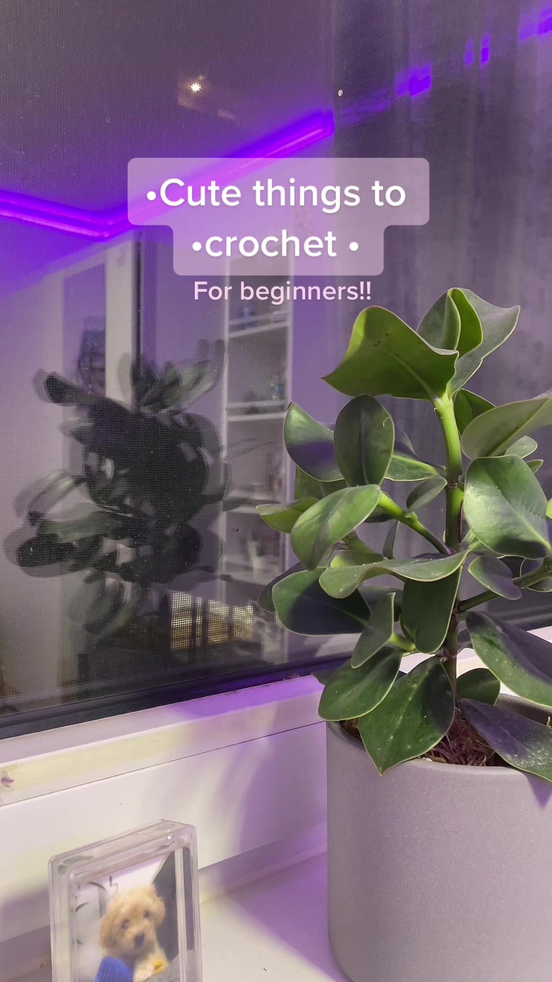 @🍃Crocheting💌