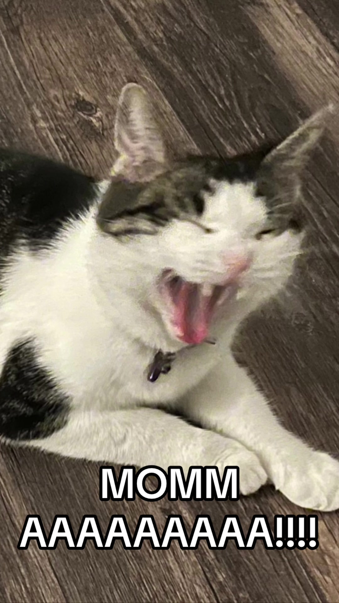 @Analee