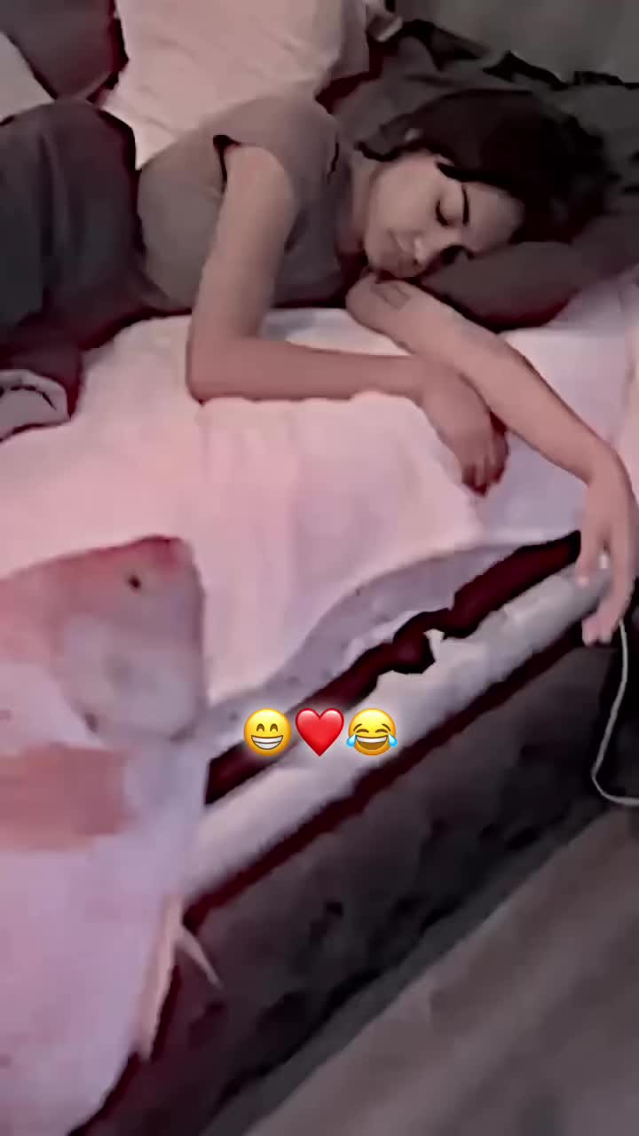 @🎀