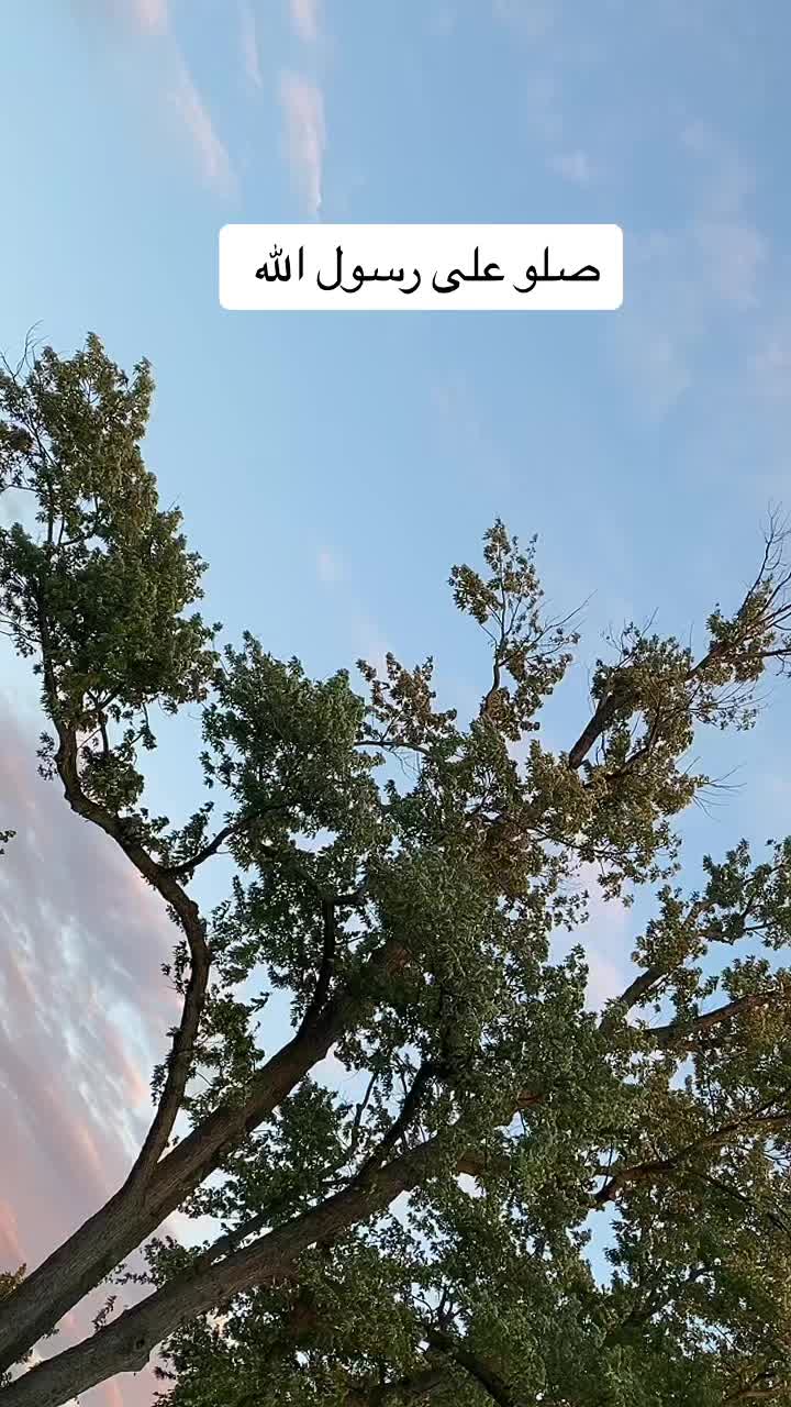 @يارب