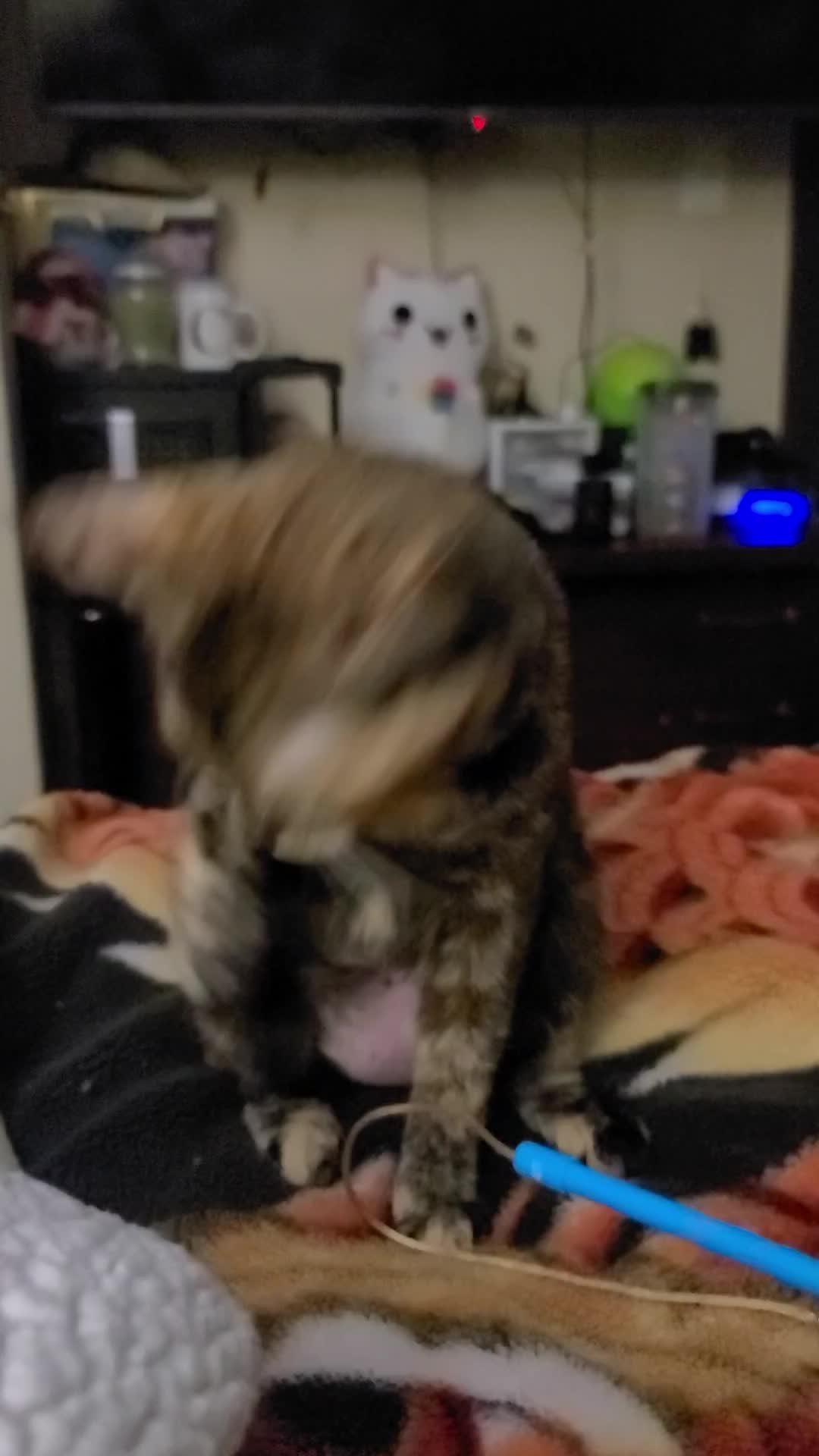 @CamCam