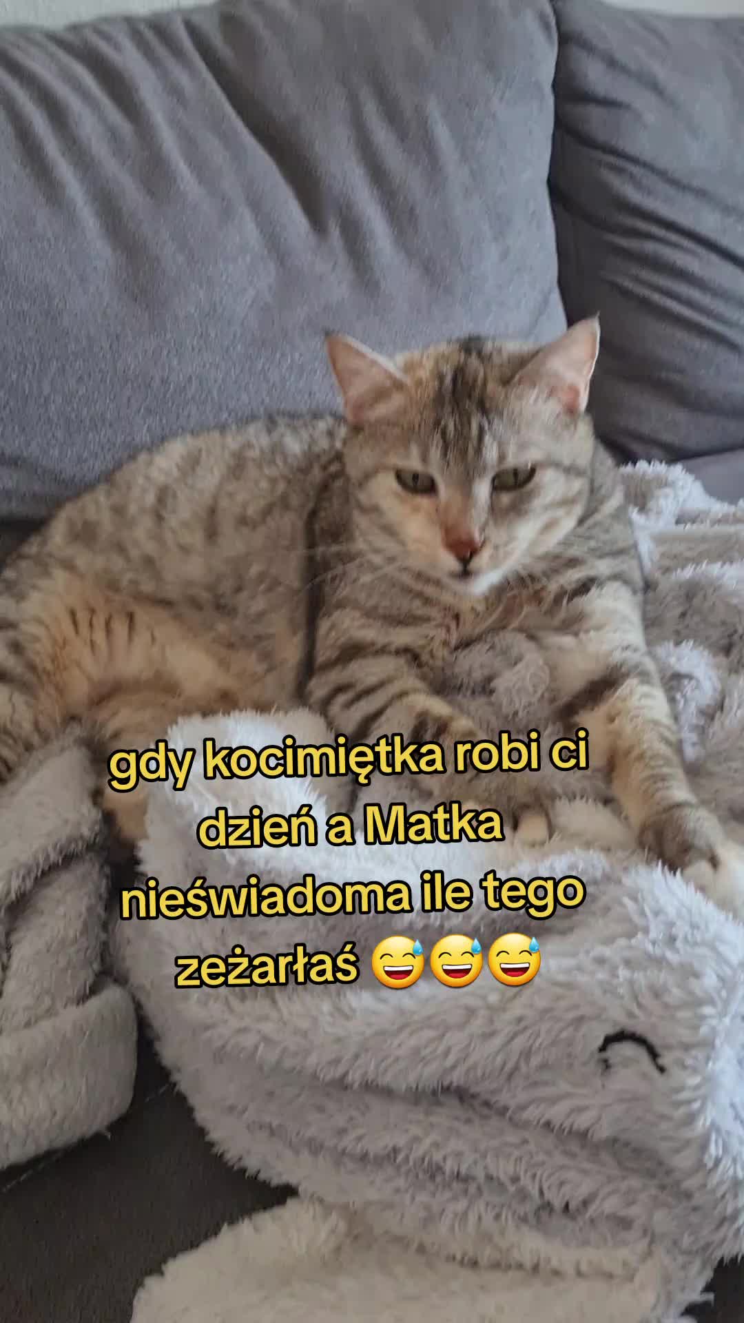 @zochakocicha7