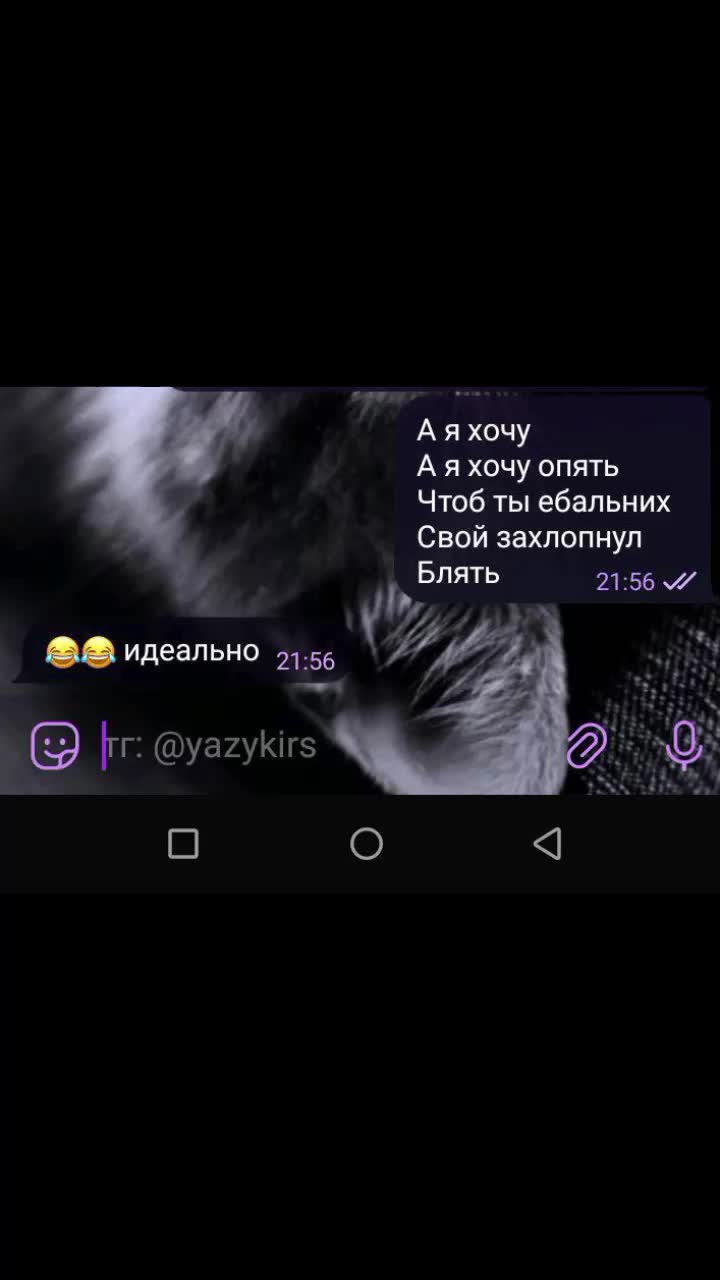 @Вика Балтийская
