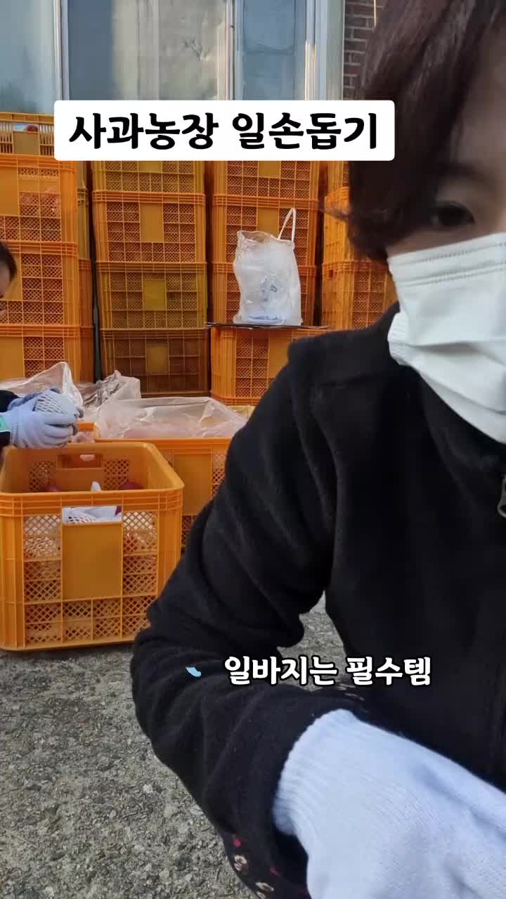 @히봉_보로봉봉