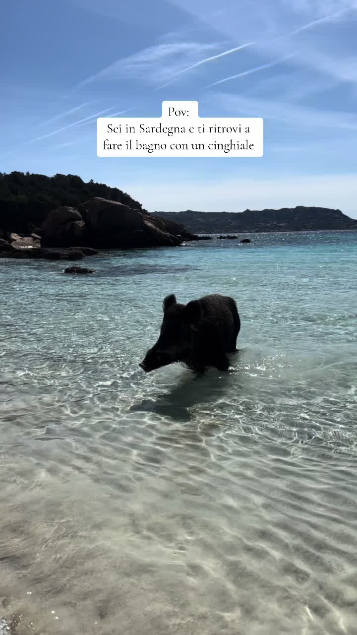 @Chichi✨Sardinia Tips ☀️🌊&hearts;️
