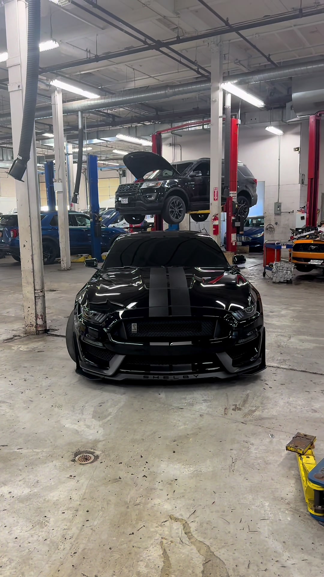 @Venomz
