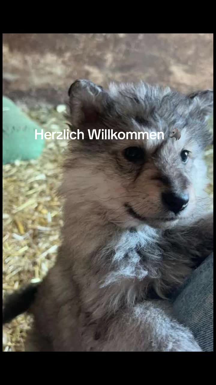 @Gregor Kaiser