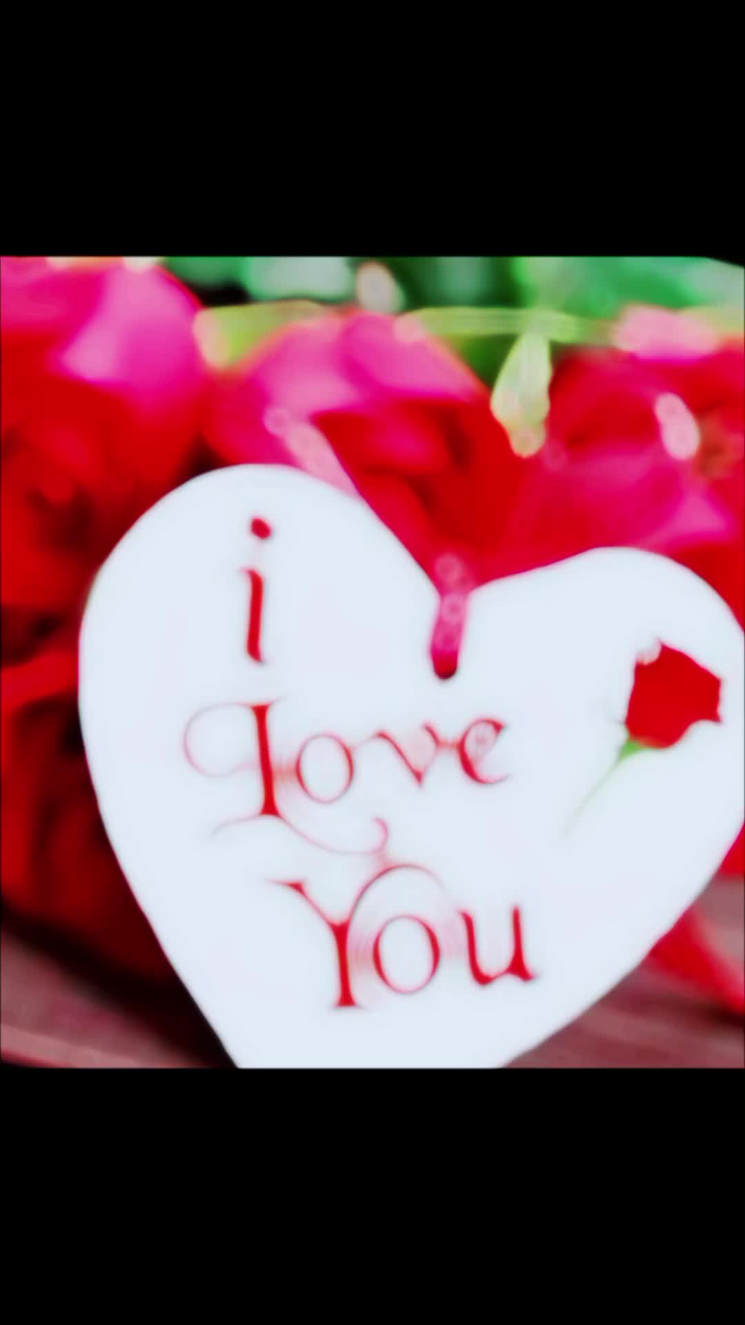 @তানহা ইসলাম রিয়া