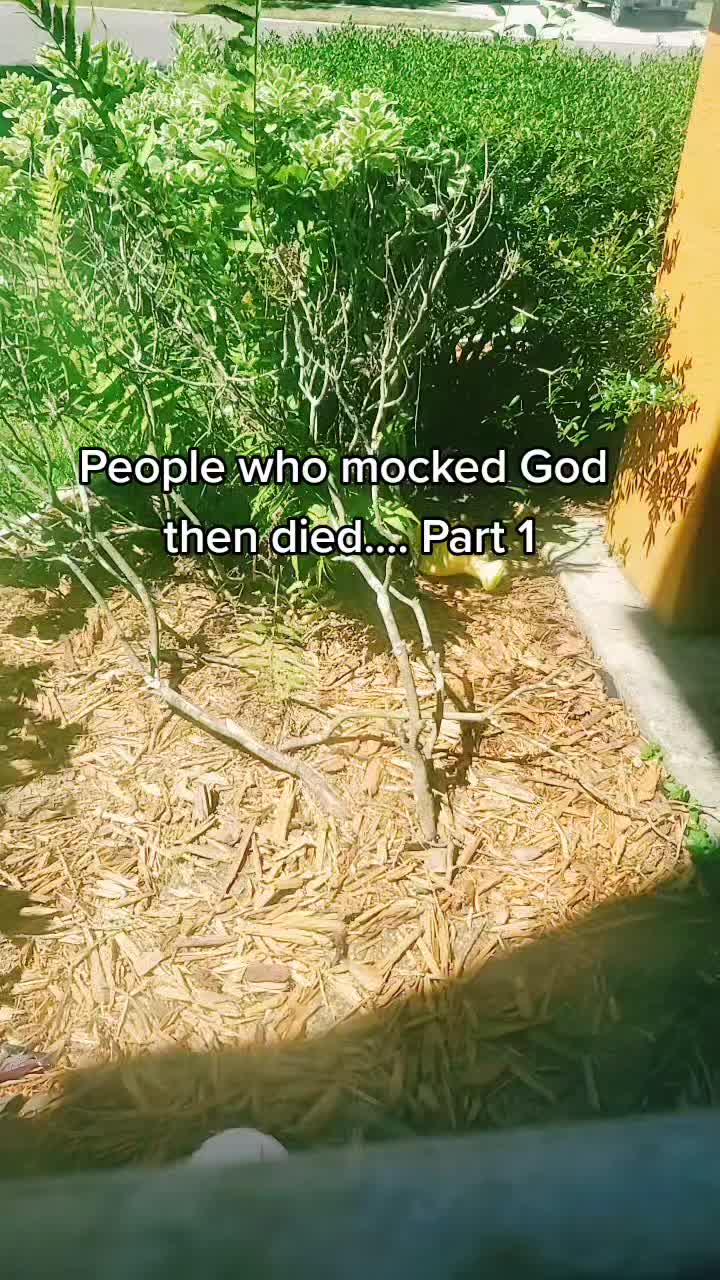 @jesusisking1579