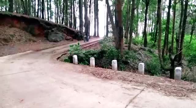 @Sangee Santhosh