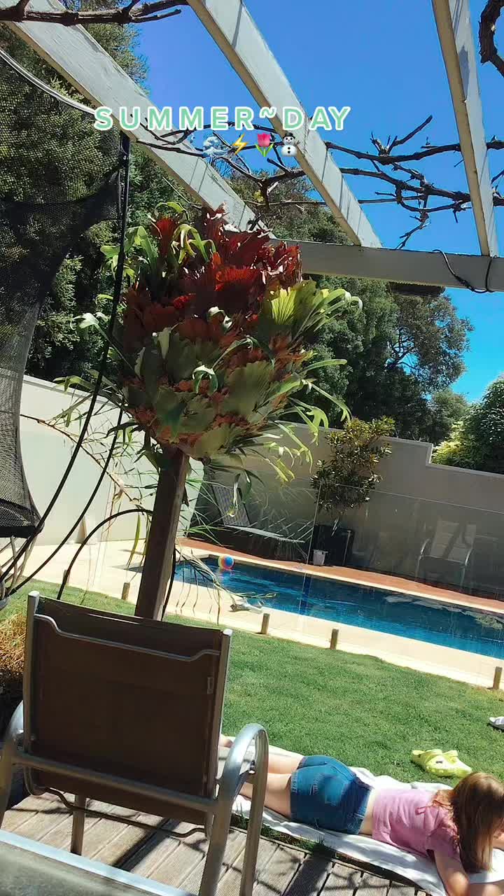 @L U C Y 🏄♀️🌷⚡️