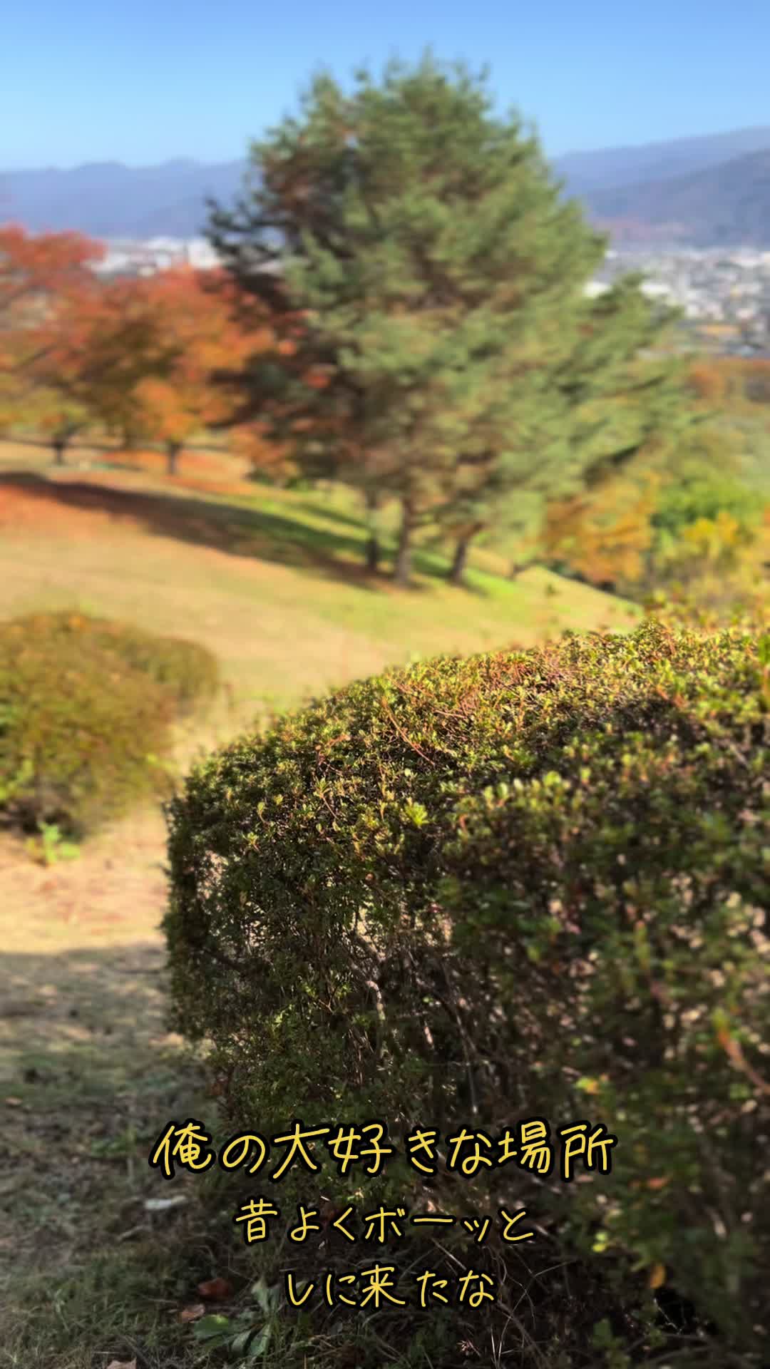 @遊損
