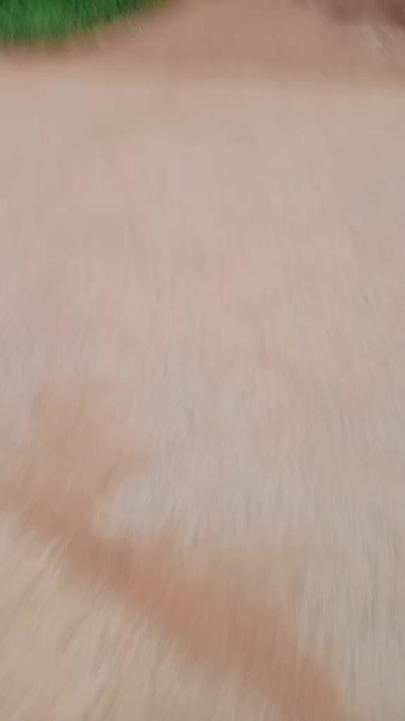 @user6903010250985