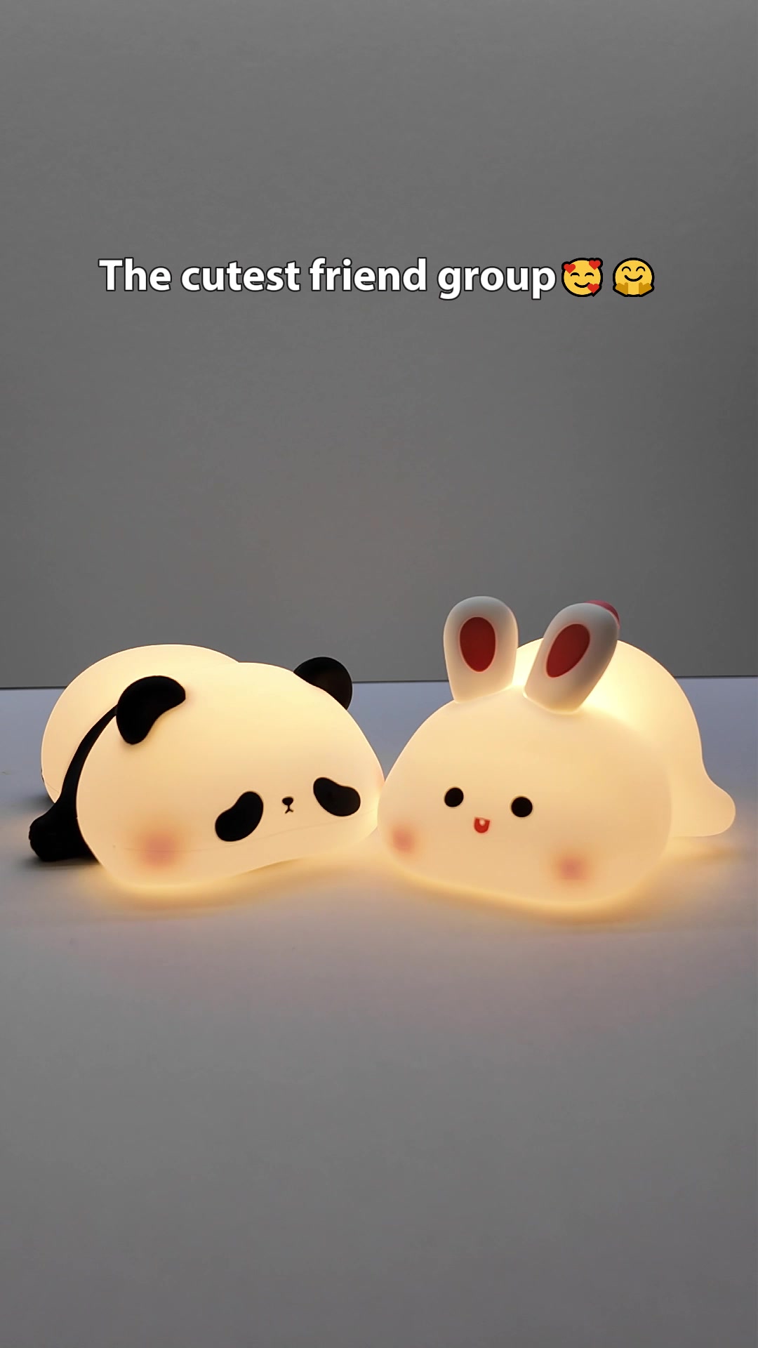 @BunnyLightCo.