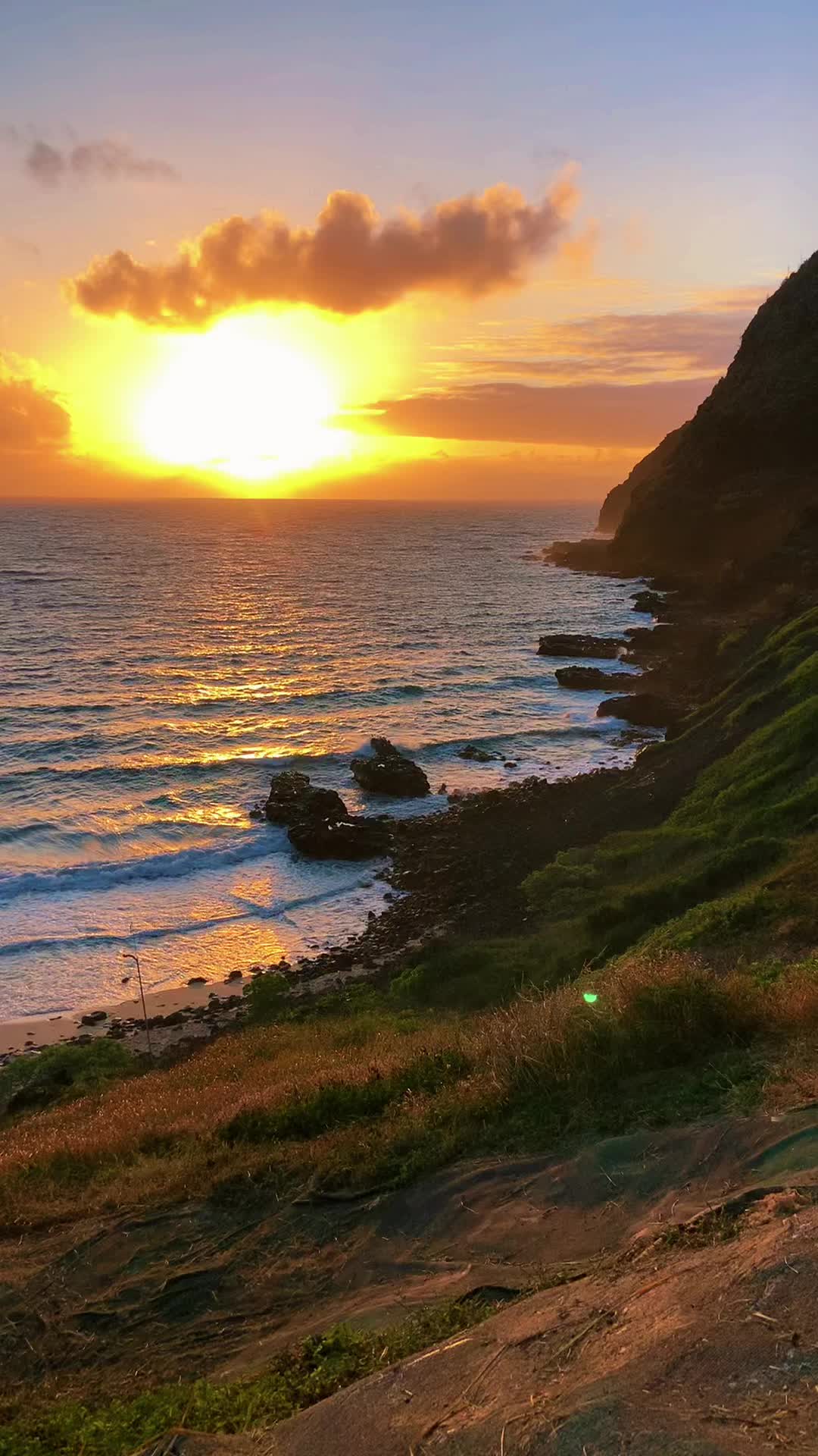 @Aaron🌴808
