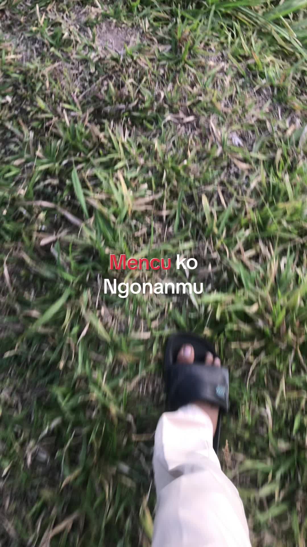 @Topung2nd ⚡️