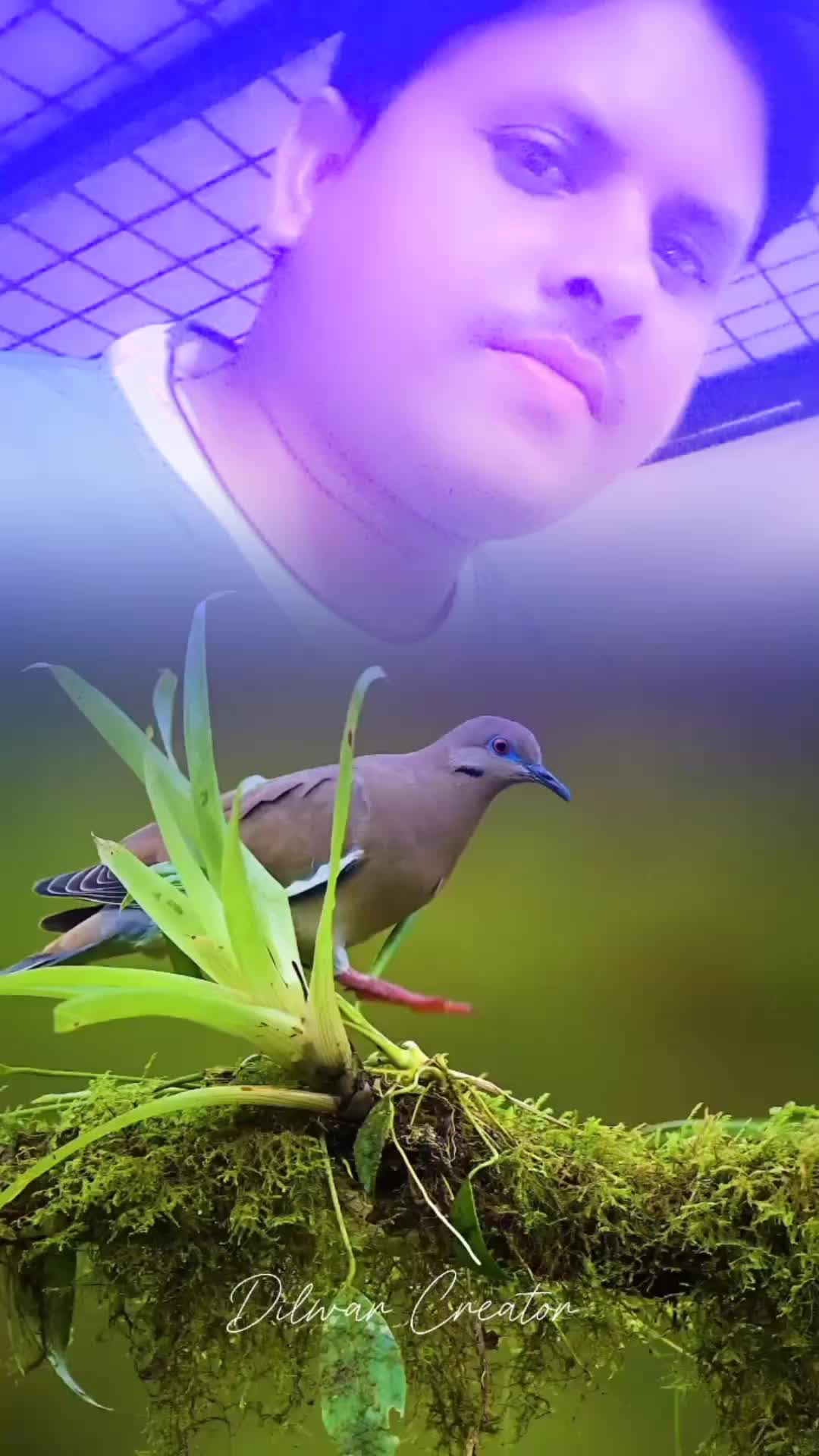 @aashaisadhi