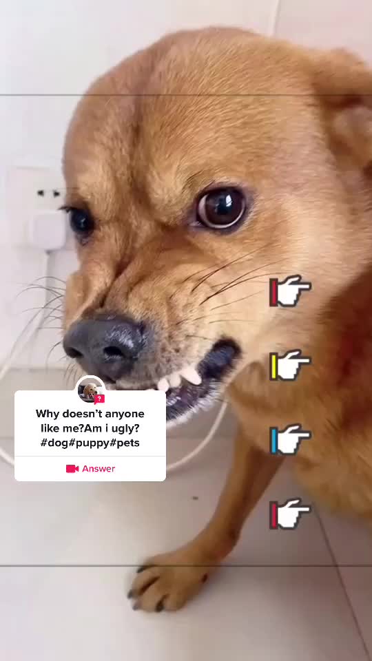 @xixite