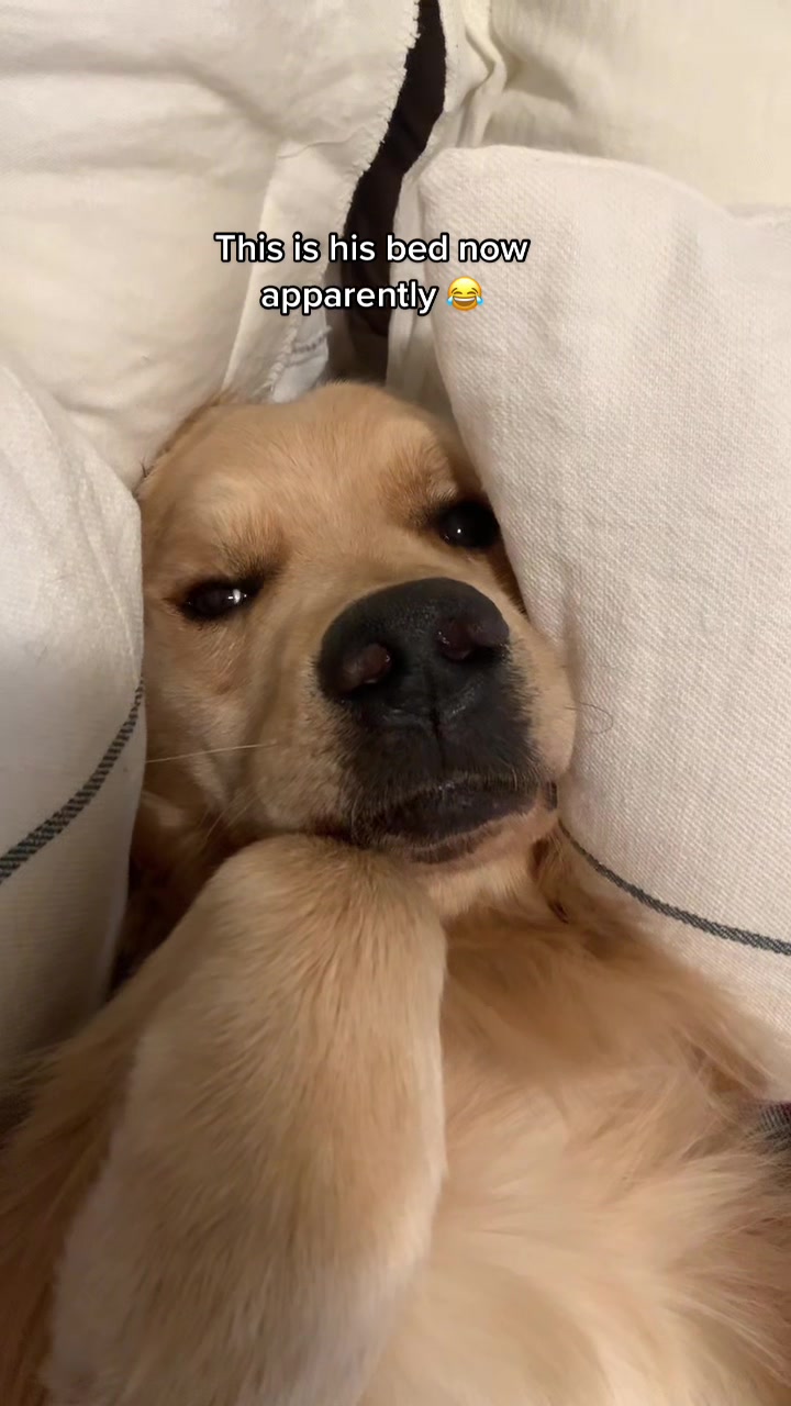 @George The Golden
