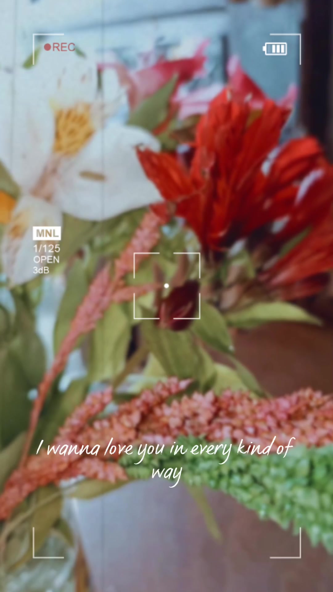 @ꪑ ꪖ ꪑ ꫀ ꪀ ᧁ 🍒