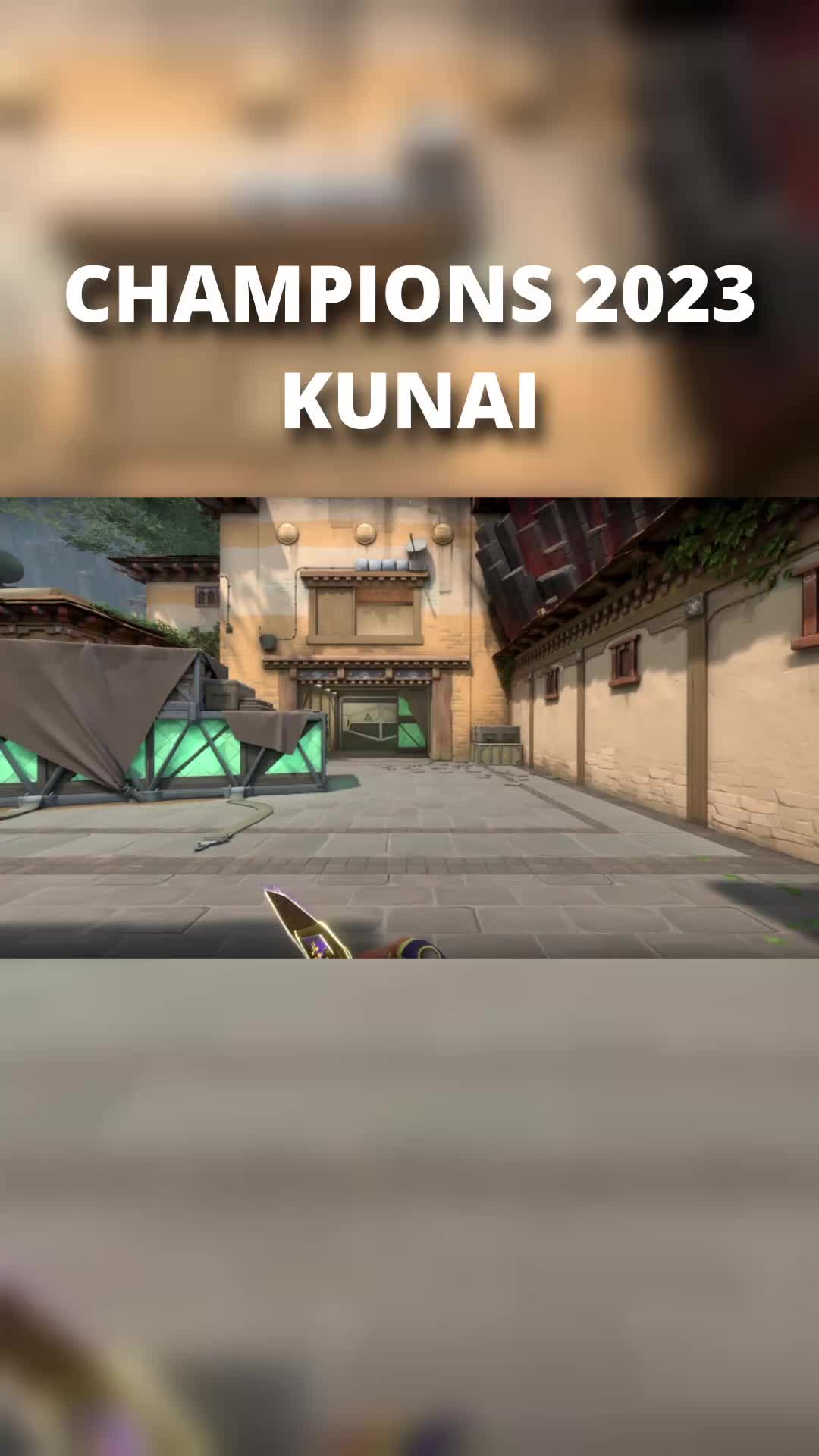 @ValorLeaks