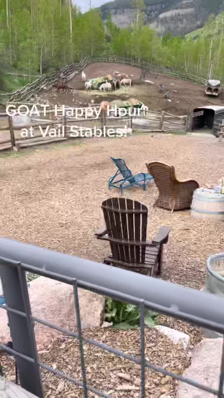 @Vail Stables