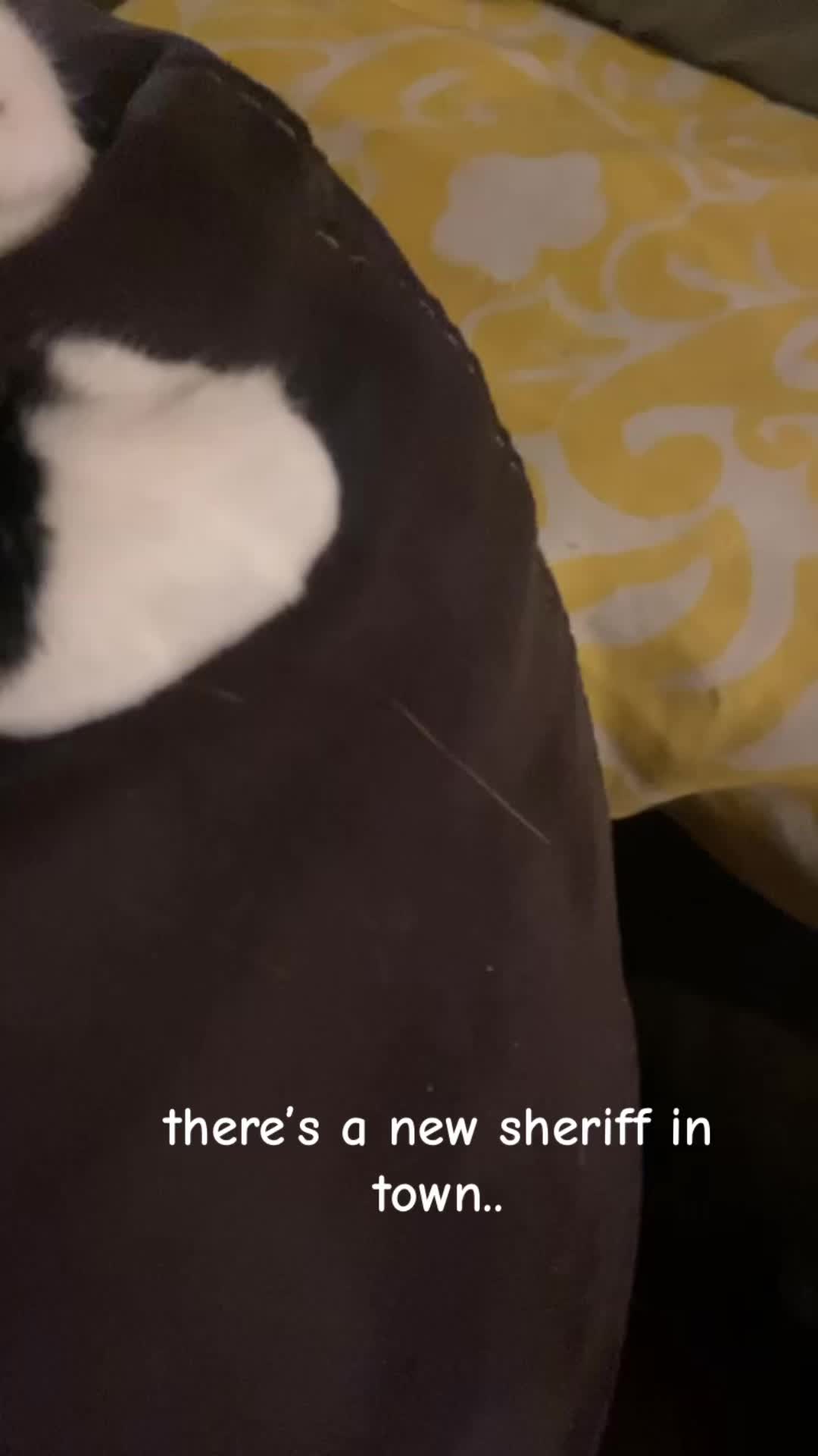 @samantha.briee