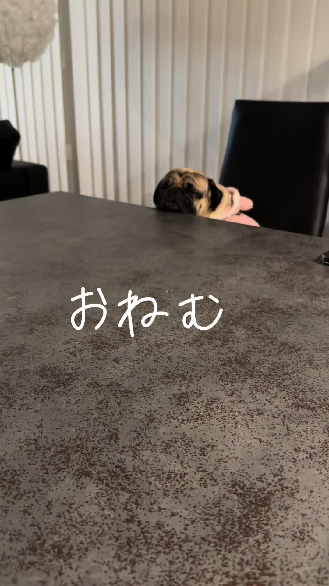 @のん&てん
