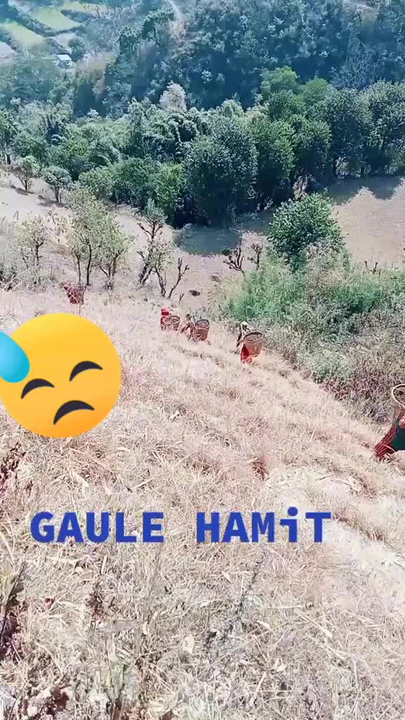 @saru kanxa