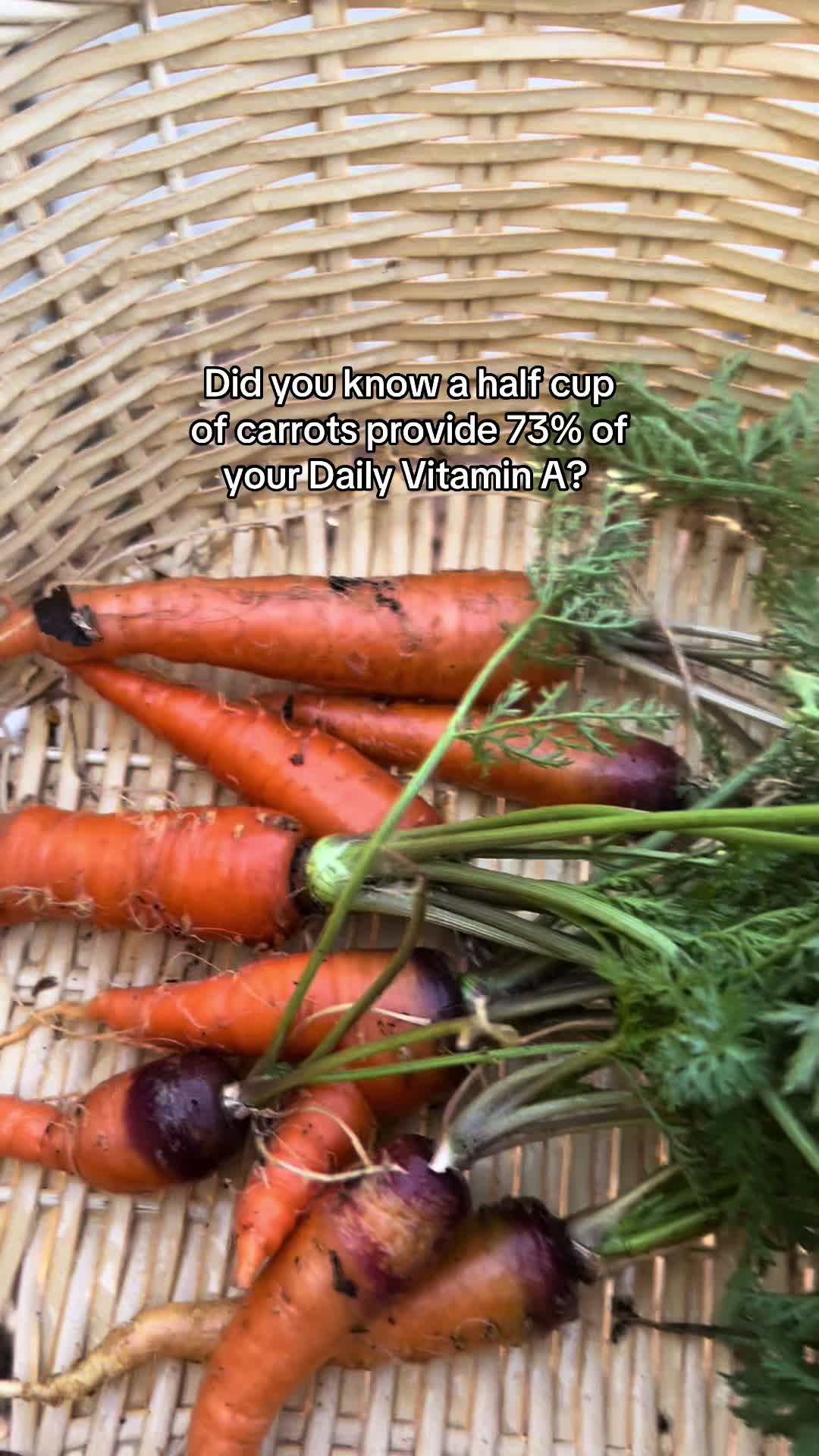 @gardeninginoside