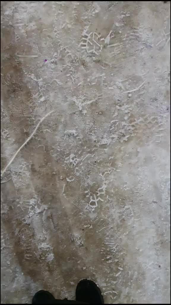 @user83845227016