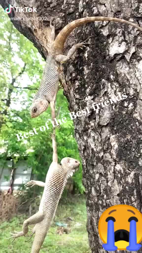 @prakash g 123456