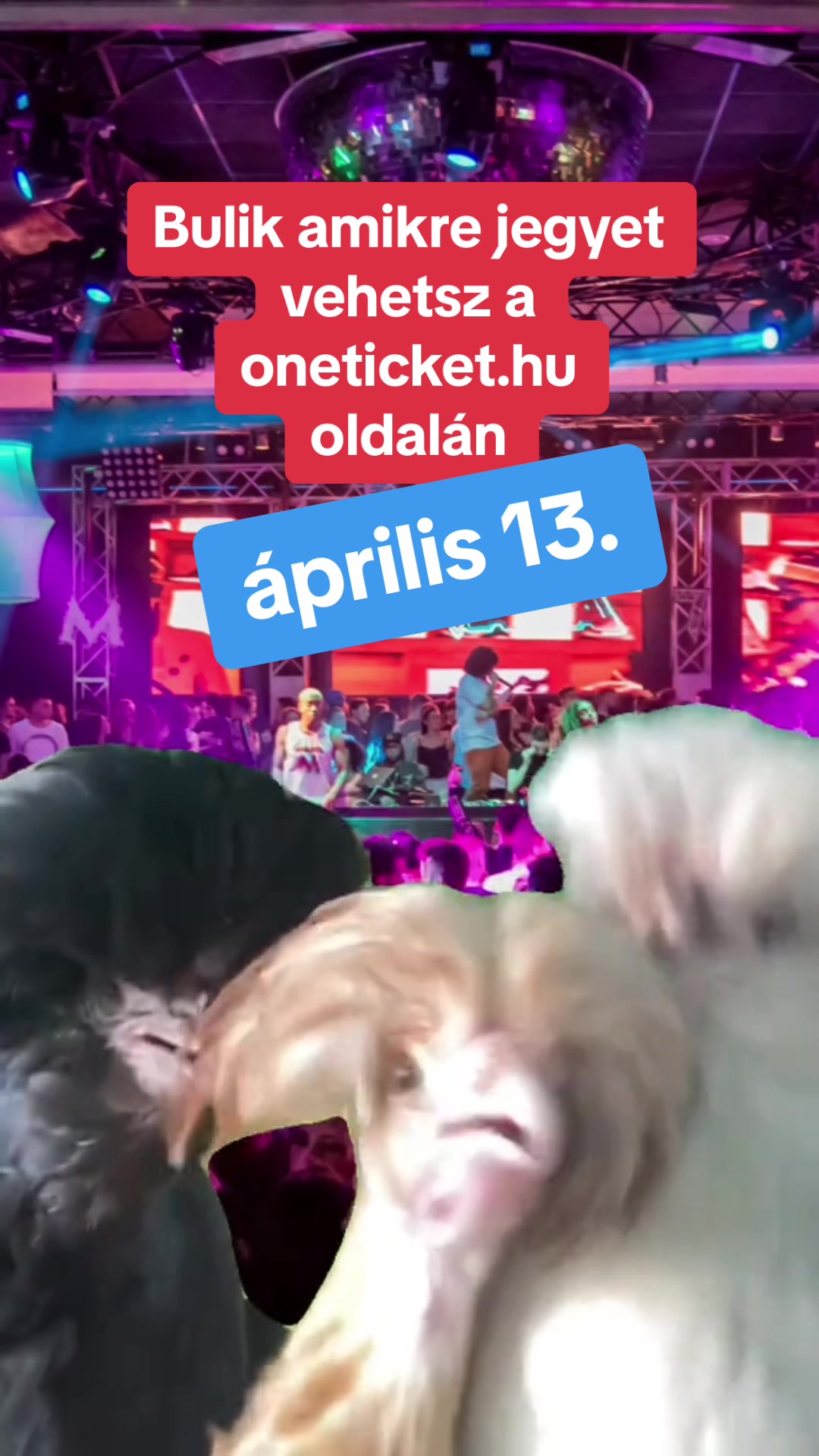 @oneticket.hu