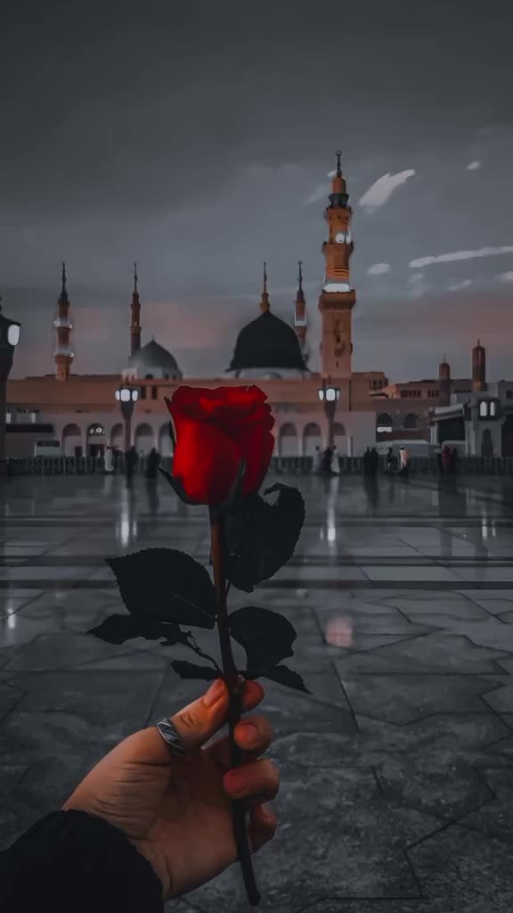 @M🦅JALAL🦅KHOKHAR 🤫