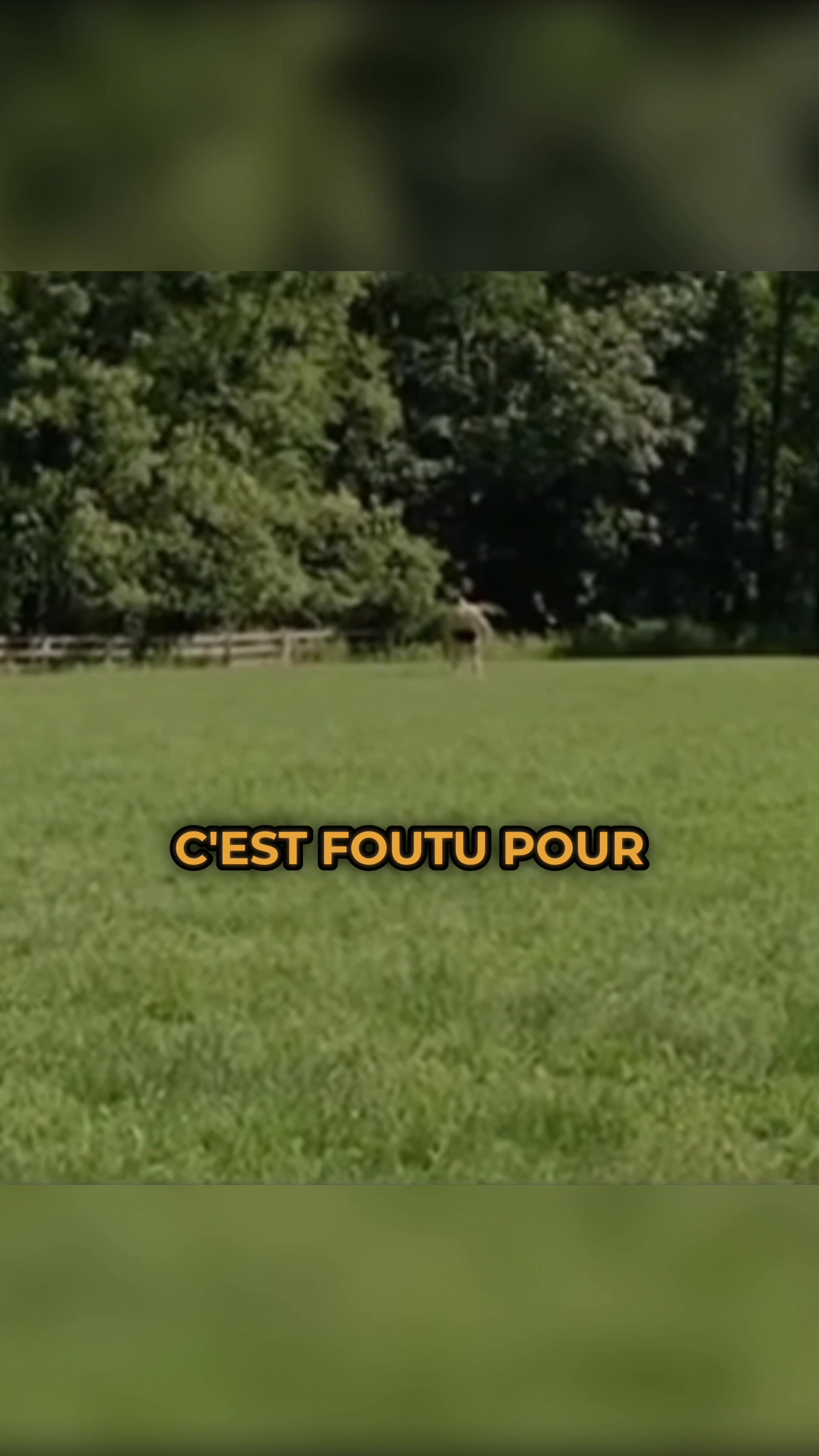 @aoxyshorreur