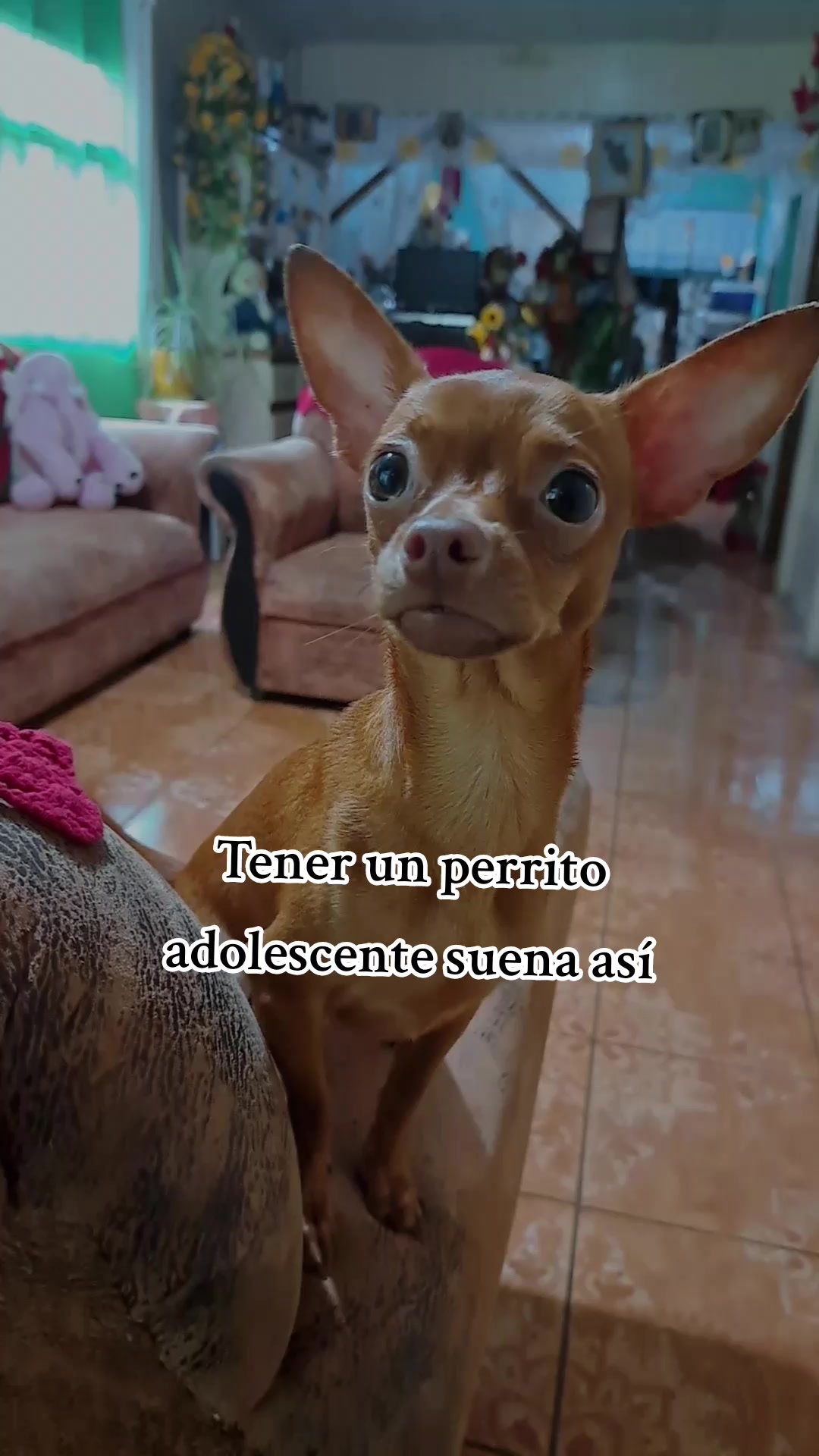 @Mariana Loaiza