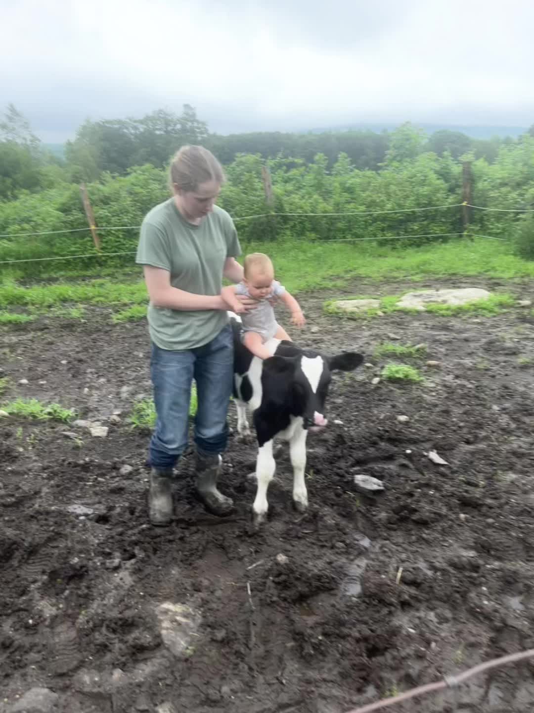 @Fosters Farm