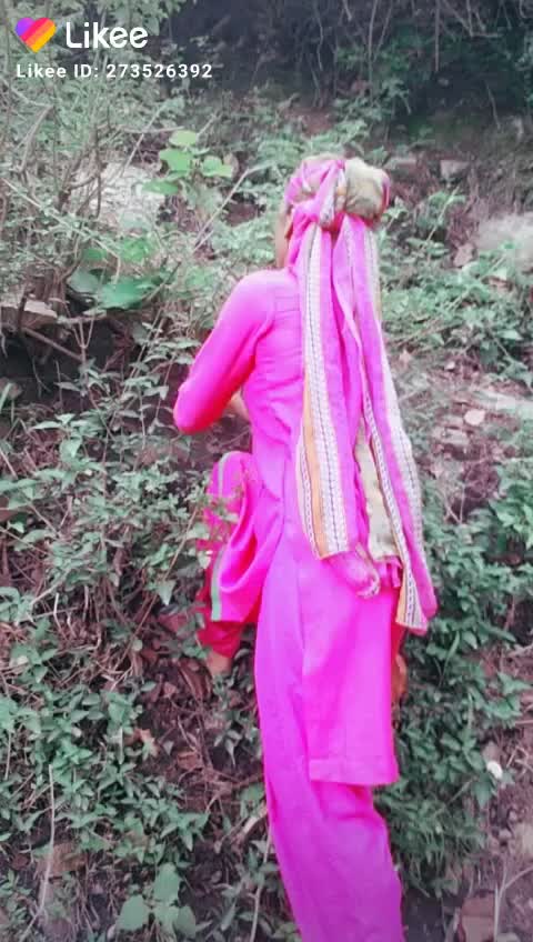 @Seema Bisht