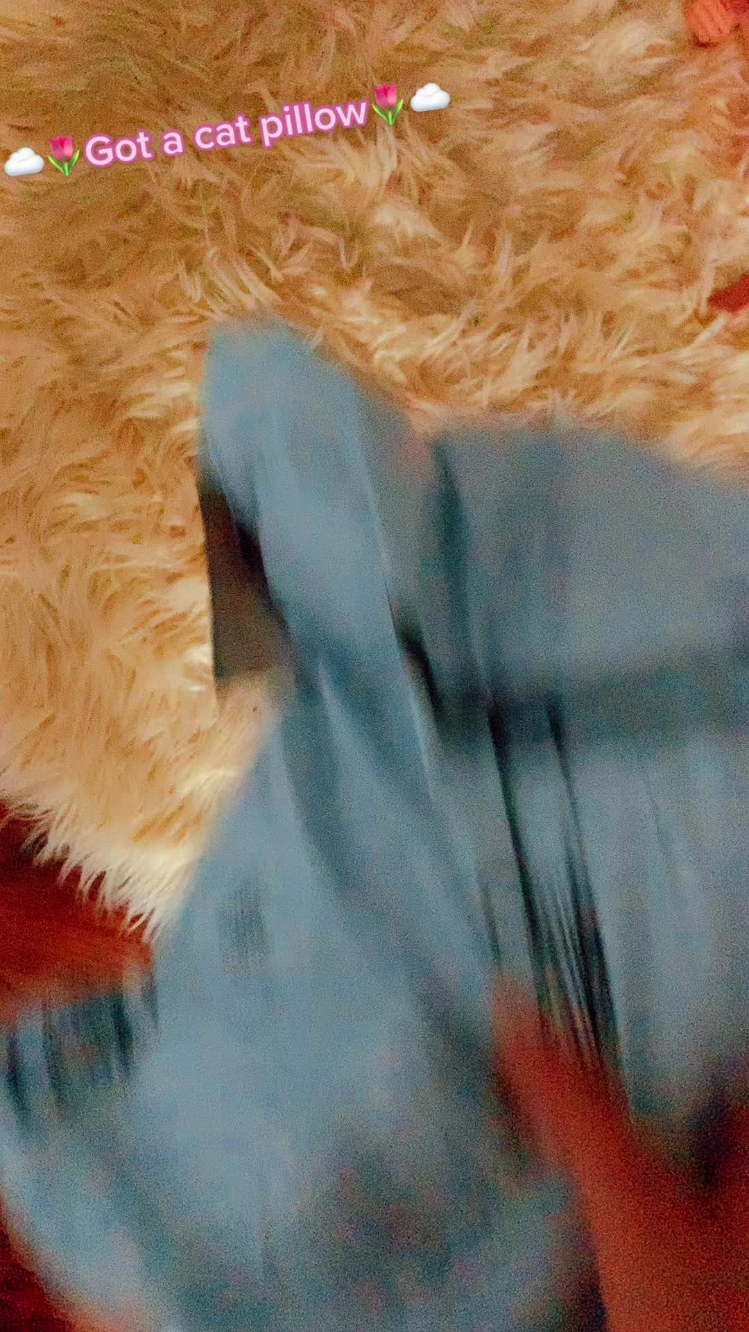@โ๏ธ๐๐ธ๐ฟ๐ท๐ค๐ฟ