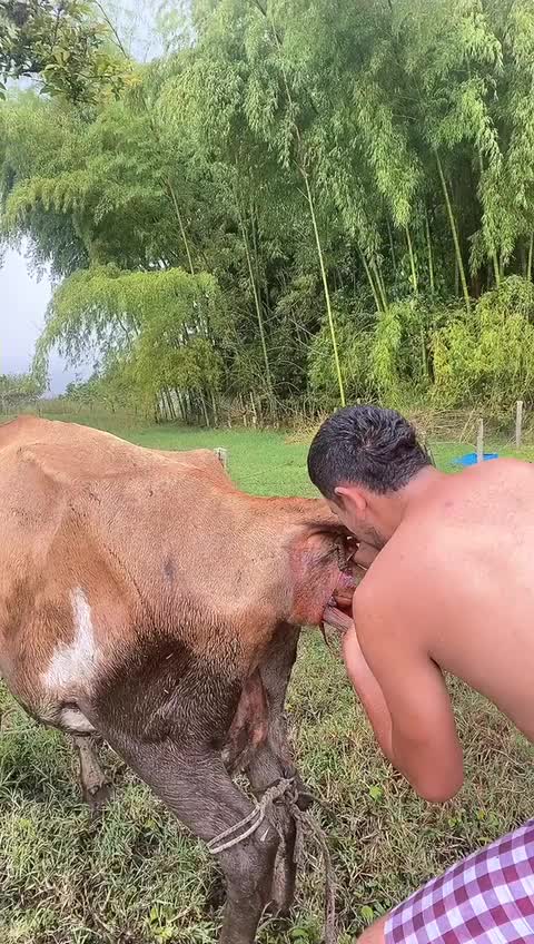 @MaFerMe