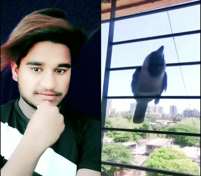 @Munna Michael