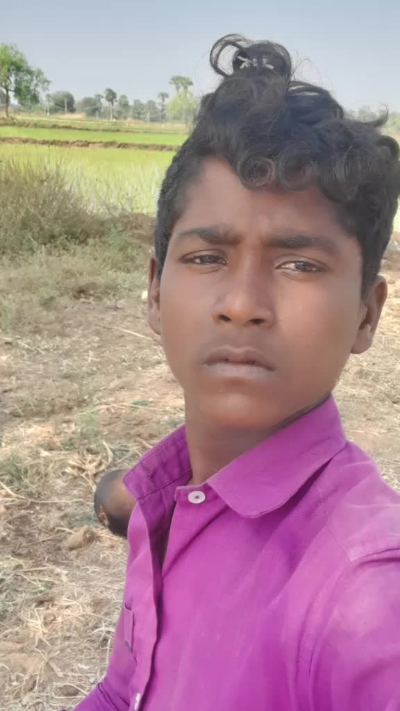 @user3986324611331