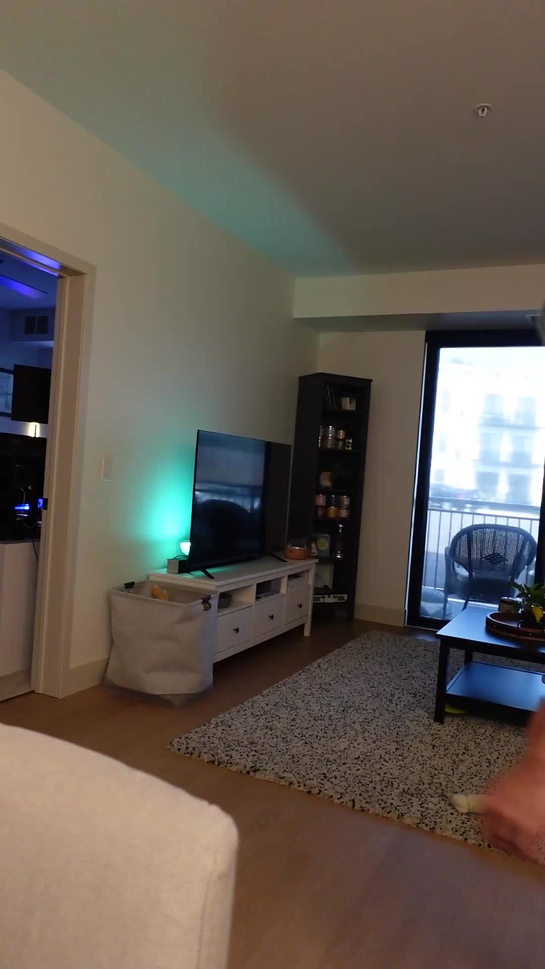 @wallzertv