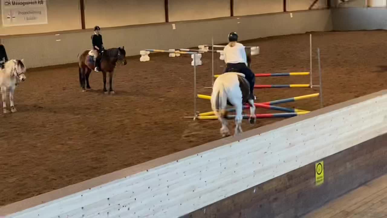 @🐎Ridning🐎 {3,8K}