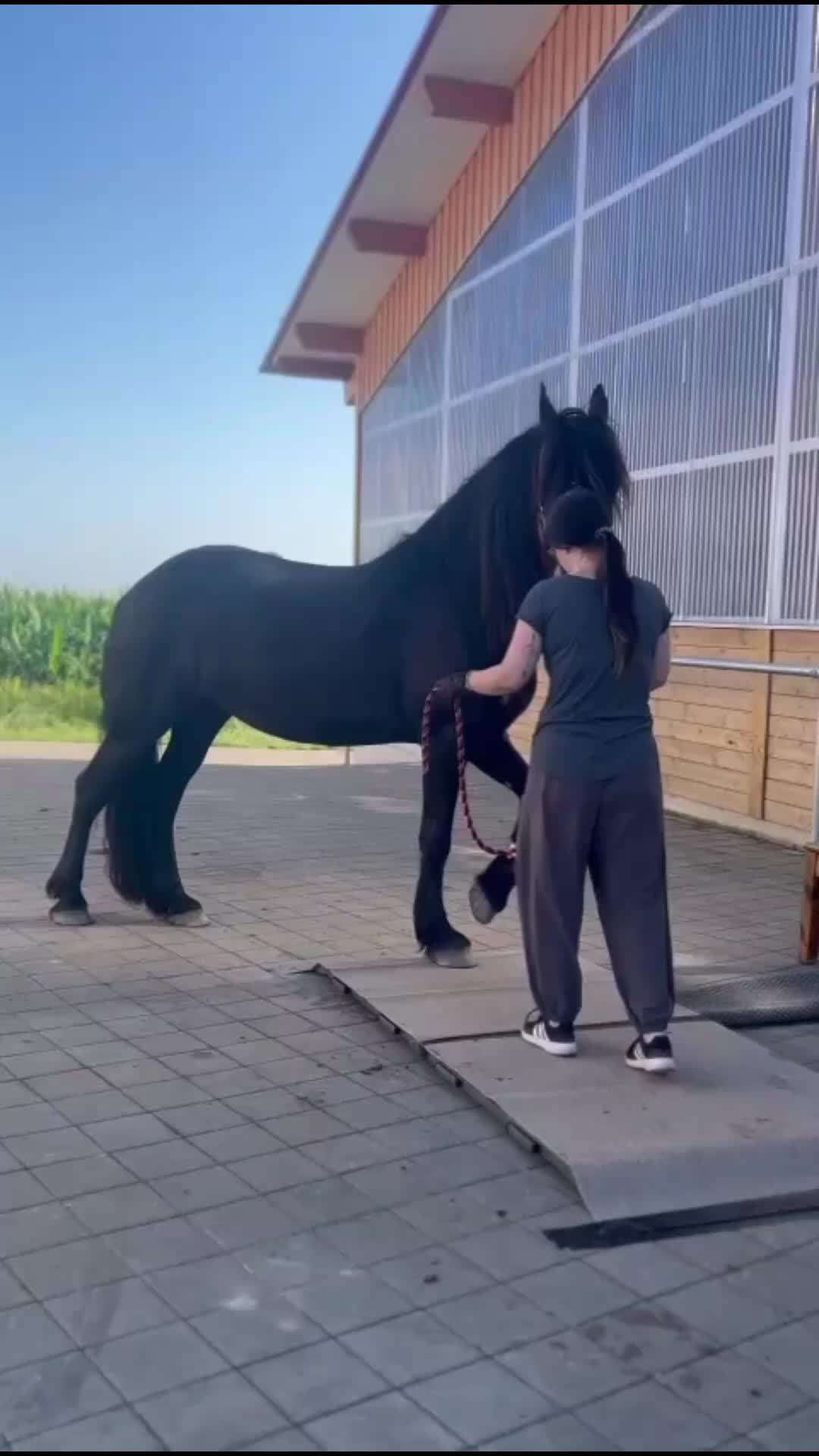 @seelenfriesen_